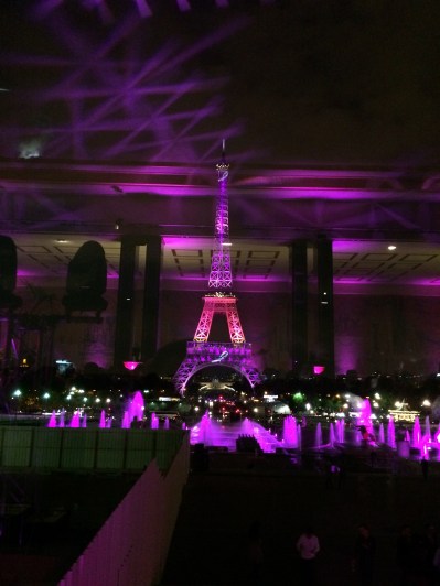 Wonderful-Pink-Eiffel